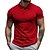 ieftine Polo clasic pentru bărbați-Bărbați Cămașă de golf Tricouri polo de golf Muncă Casual Rever Manșon scurt De Bază Modern Simplu Nasturi Vară Fit regulat Negru Alb Galben Roșu-aprins Bleumarin Albastru regal Cămașă de golf