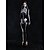 cheap Skulls &amp; Bones-Skull Skeleton Halloween Bodysuit Full Body Catsuit Scary Costume Kid&#039;s Adults&#039; Men&#039;s Women&#039;s Boys&#039; Halloween Carnival Day of the Dead Performance Party Club Easy Halloween Costumes Dress Up
