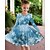 abordables Vestidos de Navidad para niños-Navidad Girls &#039; 3D Cada Copo Vestido Manga Larga Verano Primavera Vacaciones Diario Festivos Princesa Hermosa Dulce Niños 4-12 años Vestido informal Vestido de una línea Hasta la Rodilla Ajuste