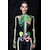 cheap Couple &amp; Group Costumes-Skull Skeleton Bodysuit Halloween Group Couples Costumes Full Body Catsuit Scary Costume Men&#039;s Women&#039;s Boys&#039; Kid&#039;s Adults&#039; Performance Party Club Halloween Carnival Day of the Dead Easy
