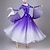 billiga Tävling Kläder-elegant ballroom dansklänning kvinnors prestanda valsdansklänning långärmad strass moderna danskläder kostymer