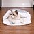 abordables Housse de canapé pour animaux de compagnie-Lit pour chat grotte lits pour chats d'intérieur, doux et confortable, jolie maison pour chat, avec oreiller rembourré lavable, lit pour chat fermé, cabane pour animaux de compagnie, cachette, petite