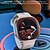 Χαμηλού Κόστους Smartwatch-LOKMAT APPLLP 6 MAX Εξυπνο ρολόι 2.16 inch Smart Phone Watch 4G LTE 3G 4G 3G Βηματόμετρο Υπενθύμιση Κλήσης Παρακολούθηση Δραστηριότητας Συμβατό με Android iOS Γυναικεία Άντρες GPS Κλήσεις Hands-Free
