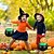 levne Halloween-řetězec světla vnitřní venkovní domácí čarodějnice kotel cukroví servírovací mísa domov &amp;zahradní dovolená &amp;sezónní dekorace
