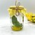 preiswerte Halloween-Skulptur einer mürrischen Gurke im Glas, lustige, emotionale Dekoration mit eingelegten Gurken, kreative Tischdekoration für den Innenbereich, eine Gurke mit Emotionen als Ornament, Gemüsedekorationen