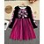 preiswerte Halloweenkostüme für Mädchen-Halloween Mädchen&#039; 3D Schädel Kleid Langarm Sommer Frühling Urlaub Täglich Ferien Prinzessin Schön Süß Kinder 4-12 Jahre Freizeitkleid A Linie Kleid Knielang Normale Passform