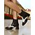 ieftine anii 1950-Ghete Chelsea pentru femei, alb-negru, cu vârf ascuțit, stil brogue vintage din anii 1950, cu toc bloc, pentru birou, ieșiri casual, petreceri și ținute retro la modă
