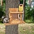 cheap Camping Equipment-Squirrel Feeder, Wall Mounted Wooden Sturdy Structure Backyard Squirrel Canteen, Damp Proof Outdoor Log Squirrel Feeding Box for Garden, Tree