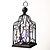 abordables Halloween-Décorations d'Halloween pour intérieur et extérieur, cage suspendue lumineuse pour Halloween, squelette de chat, accessoire de cage pour Halloween, décoration de chat squelette, décoration suspendue