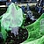 cheap Halloween-Halloween Glow in The Dark Spider Web Fake Cobwebs Stretch Green Spider Webs for Halloween Outdoor Indoor Home Decorations Creepy Party Decor