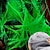 cheap Halloween-Halloween Glow in The Dark Spider Web Fake Cobwebs Stretch Green Spider Webs for Halloween Outdoor Indoor Home Decorations Creepy Party Decor