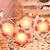 billige LED-stringlys-LED-blomsterlyslenker 1,5 m 10 leds 3 m 20 leds batteri/USB-drevet varm hvit egnet for bryllup jul romantisk hjem soverom hage balkongdekorasjon