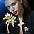 baratos Pregadeiras e Pins-Broches Clássico Retro Geométrico Flor Elegante Moda Personalizada Simples Broche Jóias Verde Para Casamento Festa Presente Noivado Baile de Formatura Festival