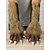 お買い得  ハロウィンアクセサリー-男性用ハロウィン狼男の爪手袋 - コスプレ、コスチュームパーティー、テーマイベントに最適な、鋭い指先を持つ長い毛むくじゃらのモンスターの手