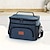 voordelige bagage- en reisopslag-Grote geïsoleerde lunchtas – tote &amp;Koeltas voor picknick, kantoor, school, campus, reizen, herbruikbare thermische lunchbox met verdikte folie, lichtgewicht, crossbody-ontwerp