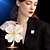 preiswerte Anstecker und Broschen-Broschen Klassisch Blume Mode Niedlich Einfach Brosche Schmuck Weiß Für Hochzeit Party Geschenk Verlobung Abschlussball Festival