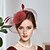 billige Fascinatorer-fascinators Tyll Fedora Bryllup Te Fest Hesteløp cocktail Elegant Årgang Med Fjær Tyll Hodeplagg Hodeplagg