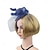 abordables Fascinateurs-Fascinators Tissu Chapeau Fedora Mariage Fête du thé Course de Chevaux Cocktail Élégant ancien Avec Plume Casque Couvre-chef