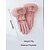 cheap Women's Gloves-Women's Touchscreen Gloves, Polyester Faux Fur Material, Cozy Winter Gloves for Christmas, Elegant and Stylish for Holiday Gifting