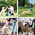 abordables Juguetes para masticar para mascotas-Juguete interactivo de peluche para mascotas con función olfativa - 1 unidad de pelota masticable que suelta comida para entrenamiento canino y limpieza dental