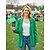 voordelige St. Patrick&amp;#39;s Day-Dameshanger met groene klaver van legering, die ook als ketting of broche gedragen kan worden, perfect voor St. Patrick's Day en dagelijks gebruik.