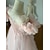 voordelige Bloemenmeisjes Jurken-Bloemenmeisjesjurk, communiejurk voor meisjes, feestjurk, trouwjurk, prinsessenjurk, zoete kerstjurk, carnavalsjurk, geplooide jurk, effen kleur, strapless, ronde hals, wit, roze, 4 jaar en ouder