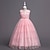preiswerte Blumenmädchenkleider-Blumenmädchenkleid Mädchen Formelle Kleidung Hochzeitskleidung Party Hochzeit Formell Mode Niedlich Prinzessin Kleid für die Erstkommunion Patchwork Netz Einfarbig Ärmellos Rundhalsausschnitt Blau