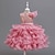 abordables Vestidos de Niña de Flores-Vestido de Niña Florista Chica Vestido formal Atuendo de boda Fiesta Boda Formal Elegante Adorable Princesa Retazos Malla Color sólido Sin Mangas Cuello Barco Amarillo Rosa 4 años +