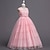 preiswerte Blumenmädchenkleider-Blumenmädchenkleid Mädchen Formelle Kleidung Hochzeitskleidung Party Hochzeit Formell Mode Niedlich Prinzessin Kleid für die Erstkommunion Patchwork Netz Einfarbig Ärmellos Rundhalsausschnitt Blau