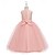 preiswerte Blumenmädchenkleider-Blumenmädchenkleid Mädchen Formelle Kleidung Hochzeitskleidung Party Hochzeit Formell Niedlich Prinzessin Süß Kleid für die Erstkommunion Patchwork Netz Einfarbig Ärmellos Rundhalsausschnitt Hellrosa