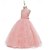 preiswerte Blumenmädchenkleider-Blumenmädchenkleid Mädchen Formelle Kleidung Hochzeitskleidung Party Hochzeit Formell Niedlich Prinzessin Süß Kleid für die Erstkommunion Patchwork Netz Einfarbig Ärmellos Rundhalsausschnitt Hellrosa