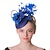 billige Fascinatorer og hatter-Derby Hodeplagg Fascinator-hatt Fascinator Gentlewoman Blomster Kostyme Dame Maskerade Te Fest Ascot Hesteveddeløpsfestival Voksne Hodeplagg Alle årstider