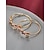 ieftine Accesorii-United States 250th Anniversary Women's Alloy USA Themed Hoop Earrings Red White  Blue Stars Perfect USA Independence Day  Casual Daily Wear