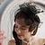 abordables Fascinateurs-Fascinators Polyester Mariage Anniversaire Élégant ancien Mignon Avec Plume Tulle Casque Couvre-chef