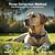 cheap Dog Training &amp; Behavior-Dog Training Collar - 3-in-1 Bark Control
