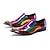 cheap Premium Leather Loafers-Men's Rainbow Metallic Leather Shoes with Snake Pattern and Pointed Toe – High-End Footwear for Fashion Shows and Exclusive Parties