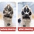 billige Kæledyrsrejse Essentials-Fuldautomatisk genopladelig multifunktionel bærbar poterenser - rengør og plejer skånsomt hundepoter - ideel til udendørs kæledyr - brugervenlig, hygiejnisk løsning til sunde poter når som helst og