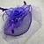 abordables Fascinateurs-Fascinators Polyester Mariage Anniversaire Élégant ancien Mignon Avec Plume Tulle Casque Couvre-chef
