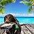 preiswerte Sommer Spielzeug-Trainiere deinen Hund spielerisch beim Apportieren: Hund, Ente, Apportierdummy, Vogel
