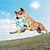 abordables Juguetes Interactivos para Mascotas-Pelota de fútbol con forma de huella de pata, juguete masticable para perros con correas