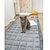 baratos Capa de sofá para animais de estimação-Capa de sofá macia e preguiçosa para cães, almofada de caixa de flanela respirável, tapete para animais de estimação, capa de sofá antiderrapante, adequada para animais de estimação
