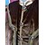 abordables Tenues-Médiéval Renaissance Tenues Prince Chevalier Celtique Déguisement Homme Royal Halloween Carnaval Mascarade Performance LARP Foire de la Renaissance Adulte Costume