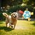 abordables Juguetes Interactivos para Mascotas-Pelota de fútbol con forma de huella de pata, juguete masticable para perros con correas
