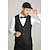 ieftine Costume pentru bărbați din anii 1920-Urlați 20 de ani Anii 1920 Retro / vintage Ținute Vestă Set accesorii Domn Gangsteri Costume de fancy Bărbați Halloween Carnaval An Nou Carnaval Petrecere / Seara Mascaradă Adulți Cravată Vest