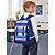cheap Kids &amp; Teen Backpacks-Kids School Backpack with 3D Airflow Back System, Large Capacity Multi-Compartment Waterproof Polyester Bookbag, Adjustable Wide Shoulder Straps, Reflective Night Safety, Blue Gradient for Boys and Gi