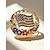 voordelige Accessoires-Voor heren Broche Legering Amerikaanse vlag Elegant Modieus Independence Day