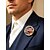voordelige Accessoires-Voor heren Broche Legering Amerikaanse vlag Elegant Modieus Independence Day