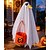 voordelige Kleding &amp; Accessoires-Halloween veranda ganzenoutfit, griezelig spookkostuum met pompoentas voor een ganzenbeeld van 60 cm voor in de tuin