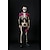 economico Costumi di coppia e di gruppo-Carnevale 2026 Body Costumi di Gruppo per Coppie di Halloween Catsuit a Corpo Intero Teschio Scheletro Teschio di zucchero Costume Spaventoso Adulti Bambini Tutti Halloween Carnevale Giorno della