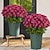 billige Efterårsblomster &amp; falske mums-10 bundter kunstige efterårsblomster med solnedgangsblomster, udendørs kunstige efterårsblomster med tusindfryd og eukalyptus, UV-resistente, vandtætte, vindtætte, livagtige, fuldt blomstrende planter